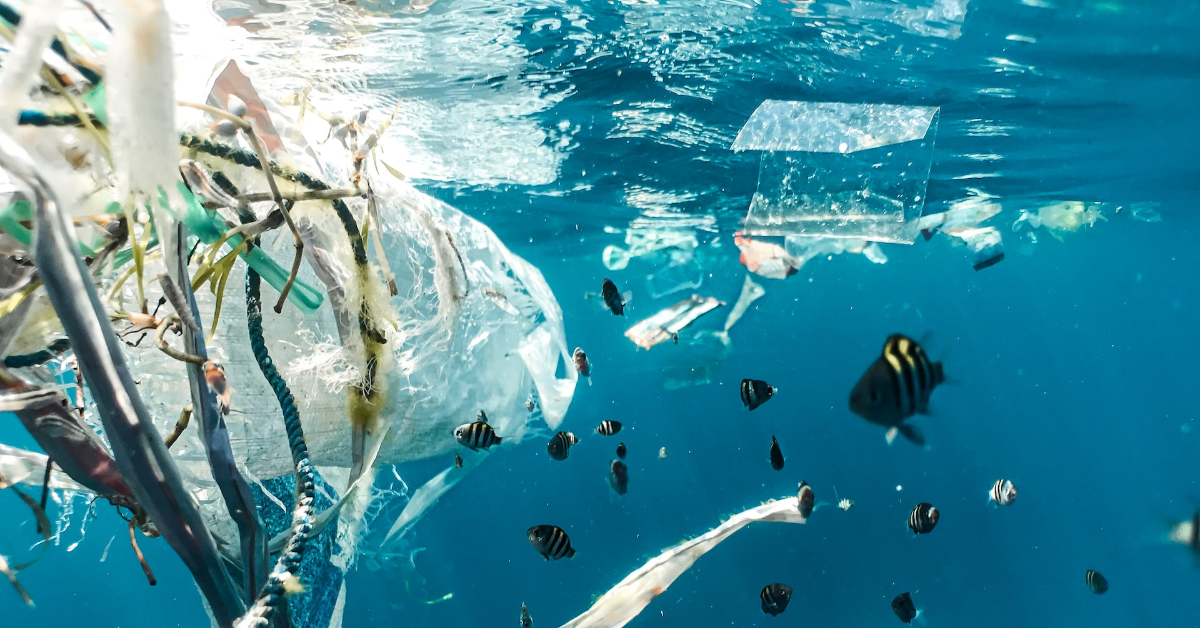 The 5 Most Devastating Ocean Pollution Problems and What We Can Do About Them