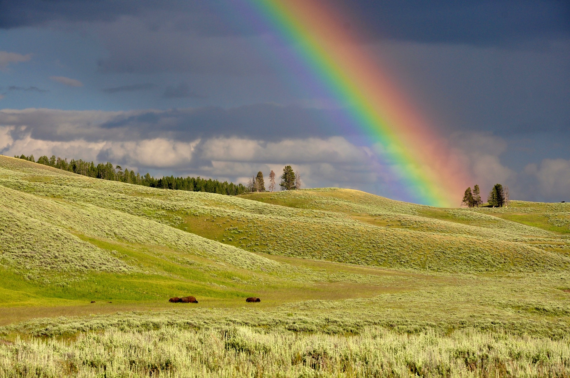 7 Mesmerizing Types of Rainbows That Will Leave You Spellbound with Nature’s Wonders