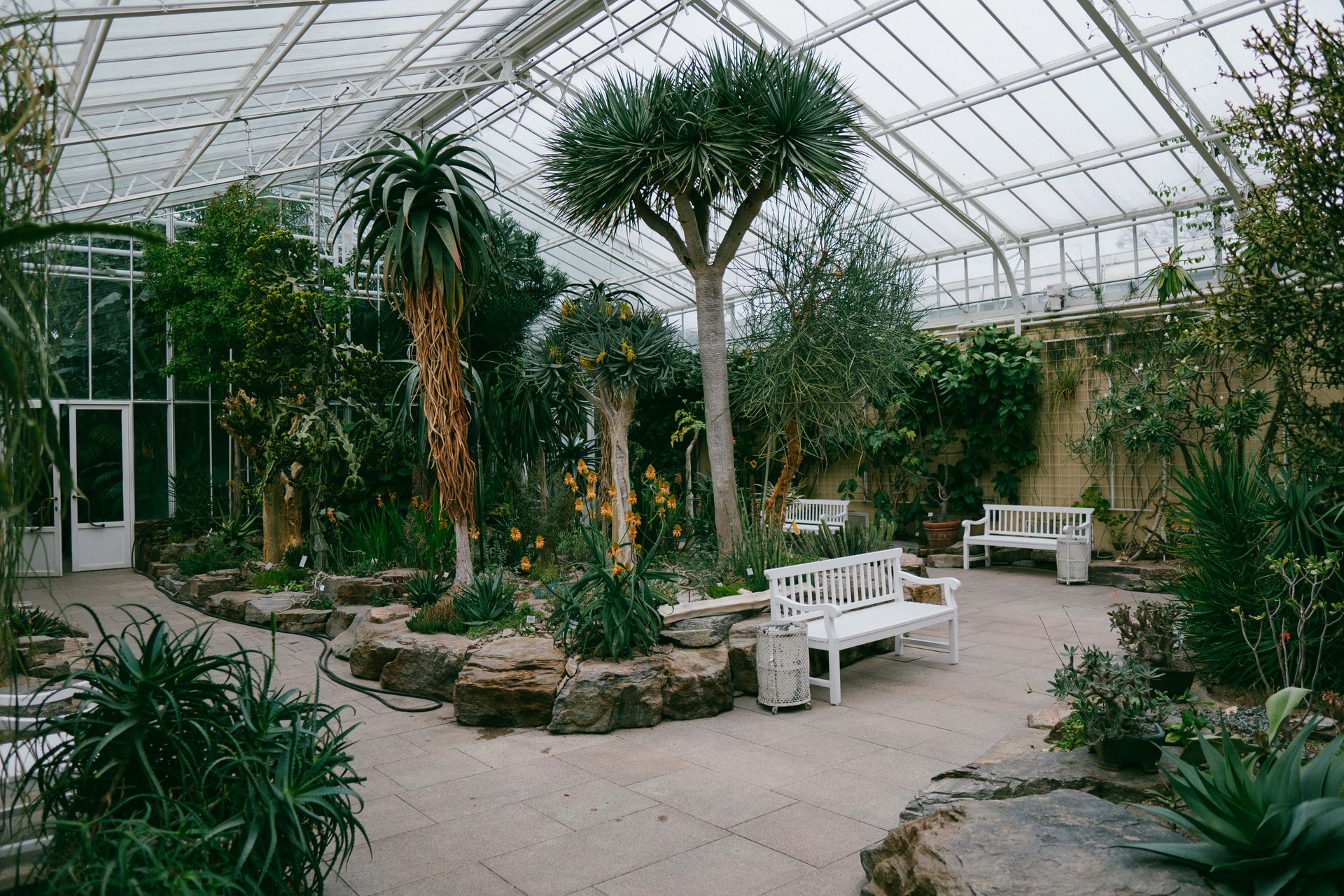 Interesting Facts About Botanical Gardens You Should Know