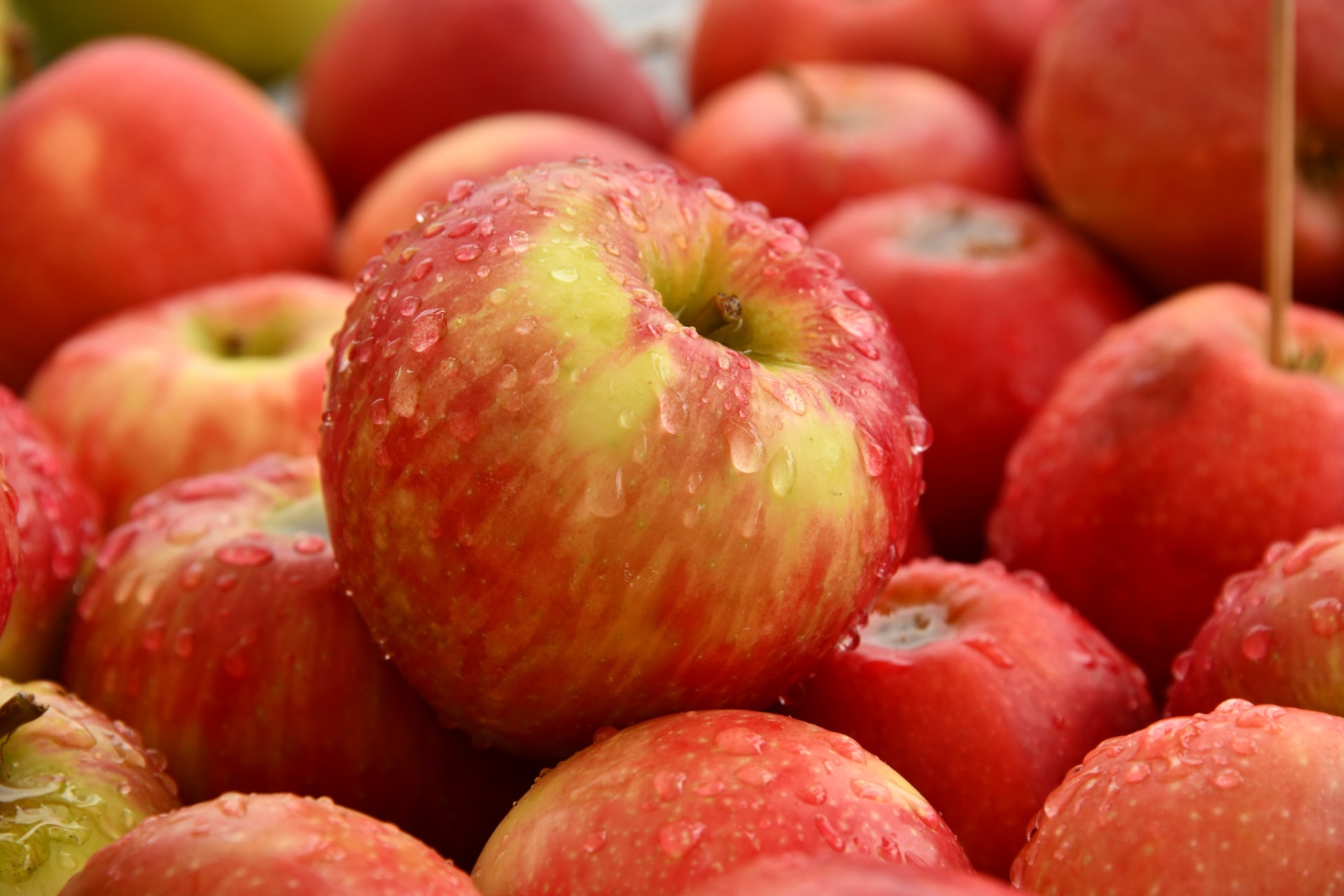 Apples: The Delicious and Nutritious Fruit That’s Good for You