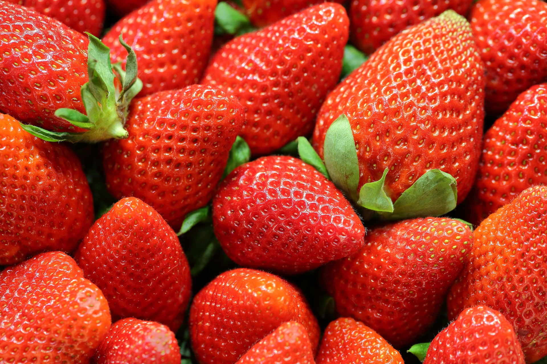 Berry Good: Everything You Need to Know About Strawberries