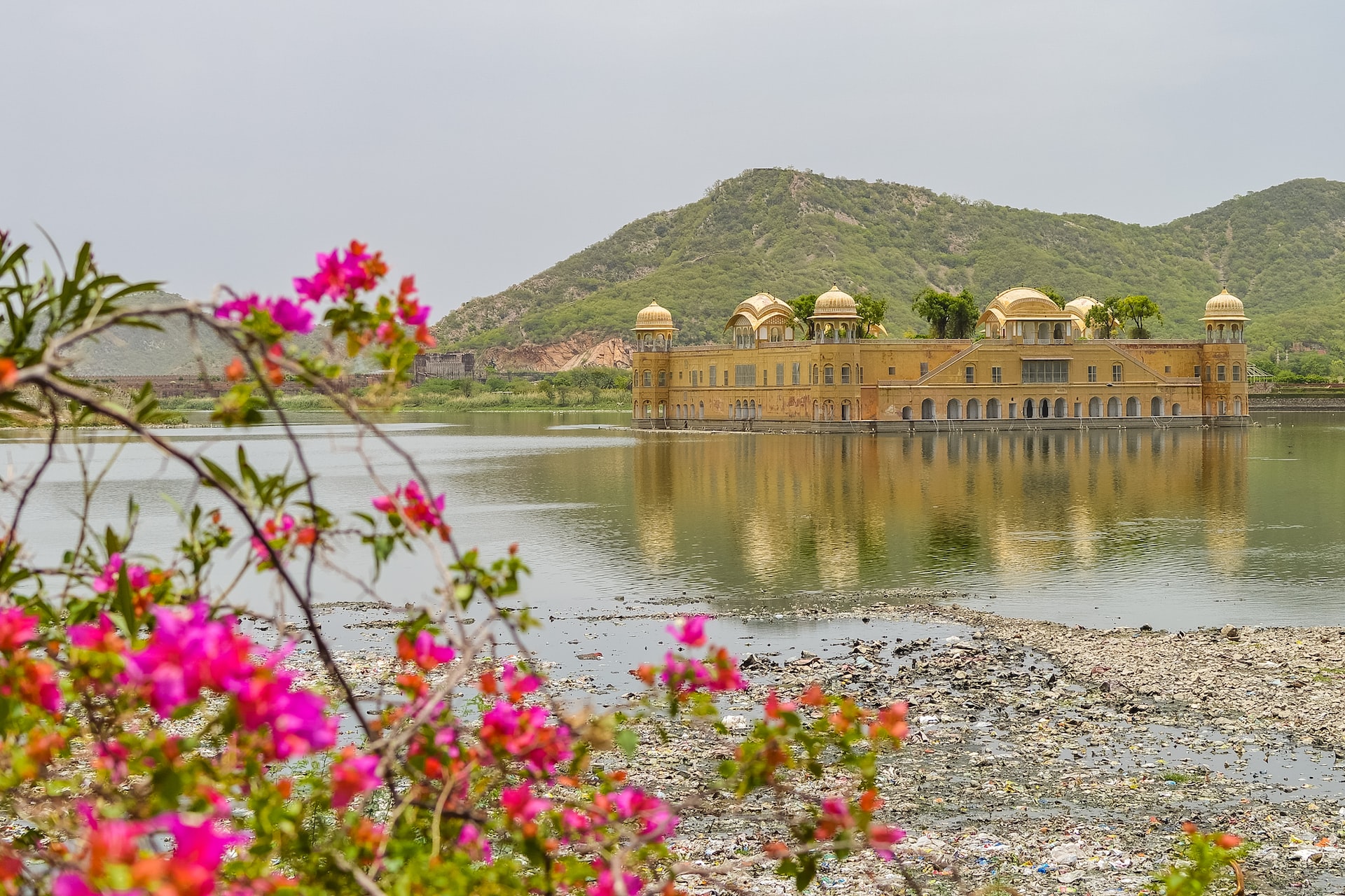 Discover the Beauty and Culture of Rajasthan: A Comprehensive Travel Guide