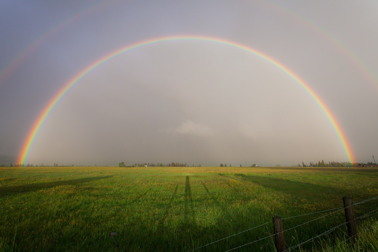 Exploring the Wonders of Rainbows: Fascinating Facts You Need to Know
