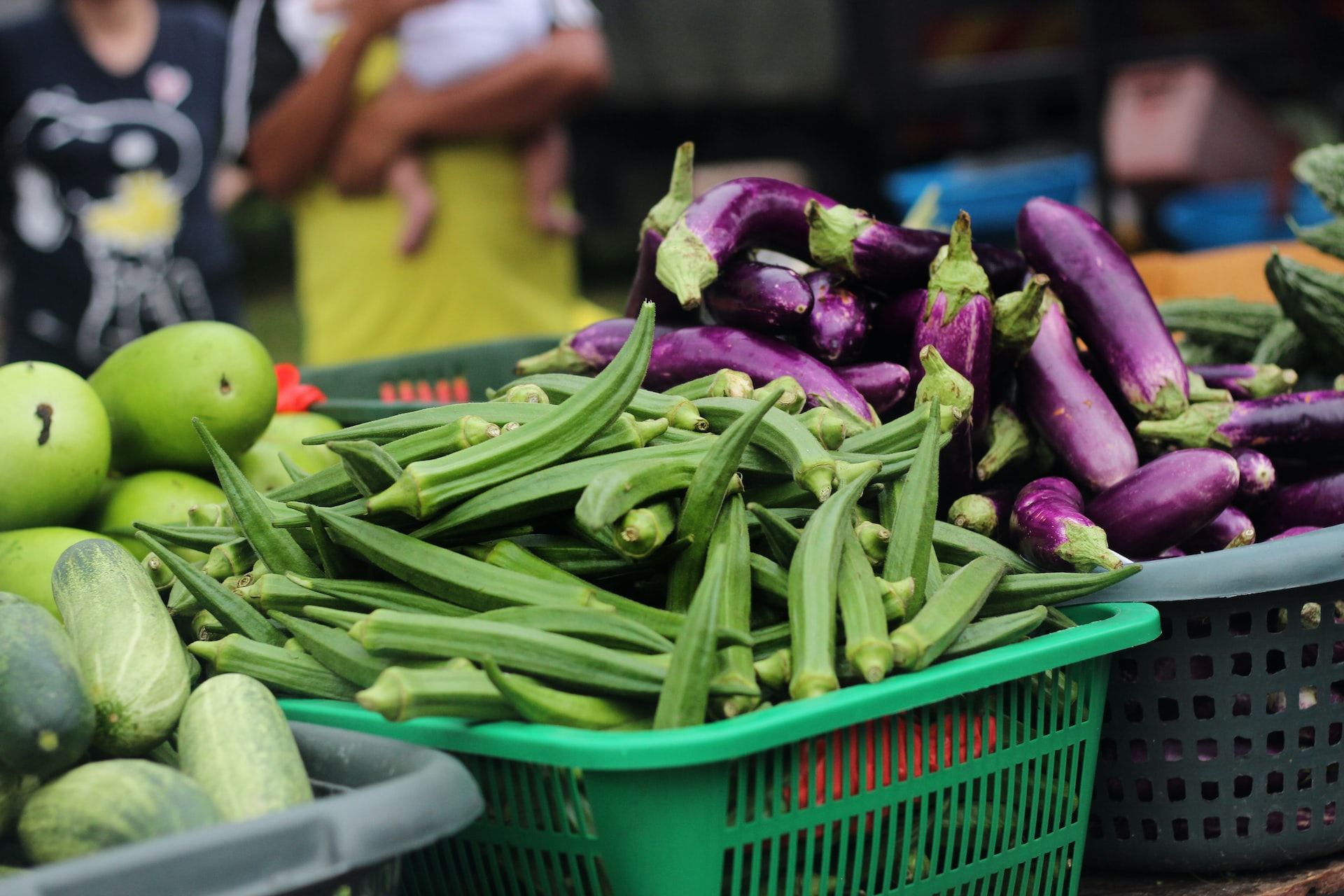 From South Asia to Your Plate: The Fascinating Story of the Brinjal