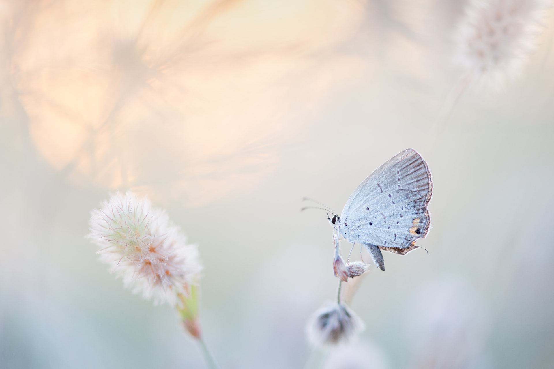 Unlocking the Mystery of the Butterfly Effect: Relationship between Small Changes and Large-Scale Weather Phenomena