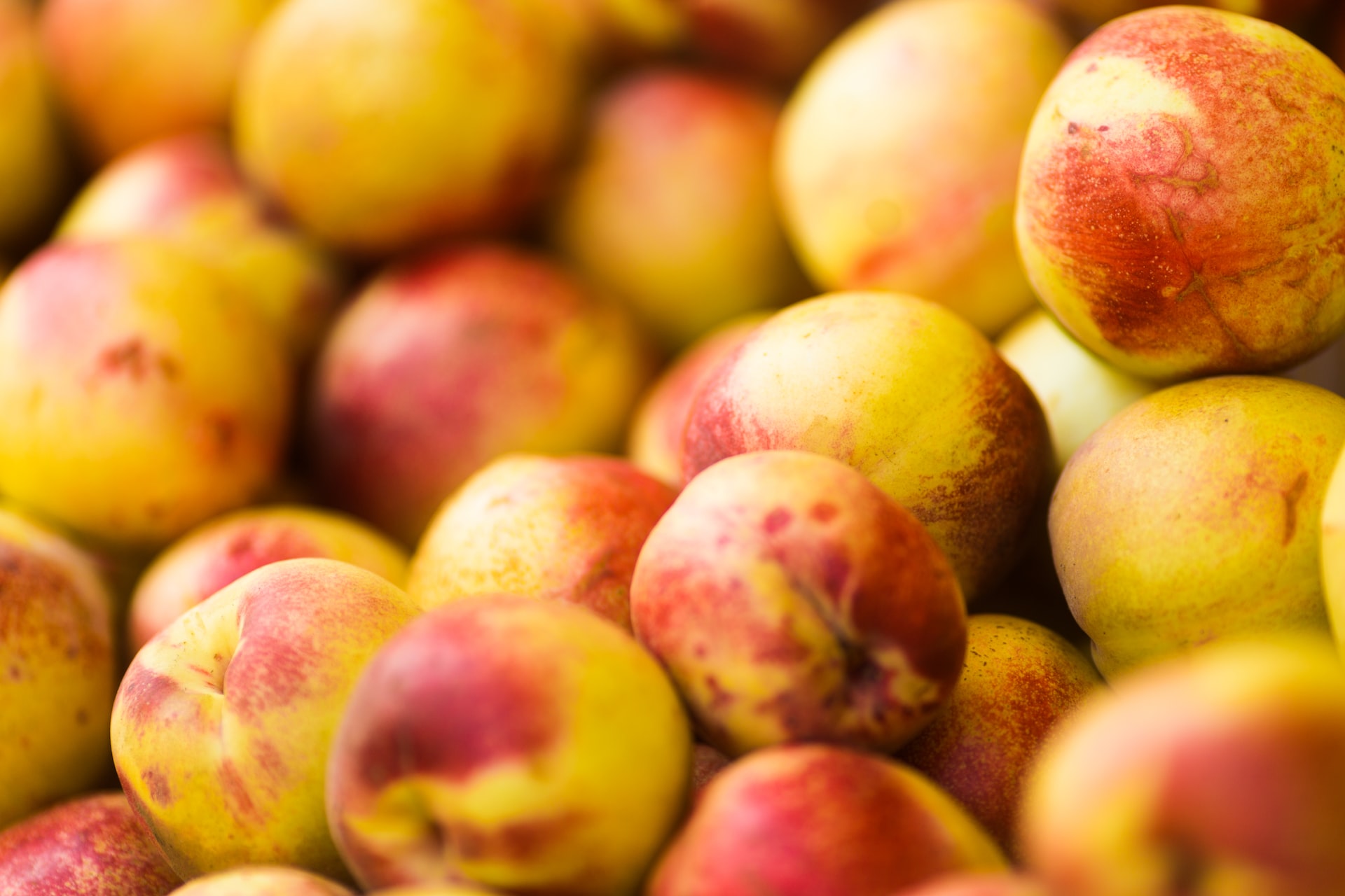 Nectarines: The Perfect Summer Snack