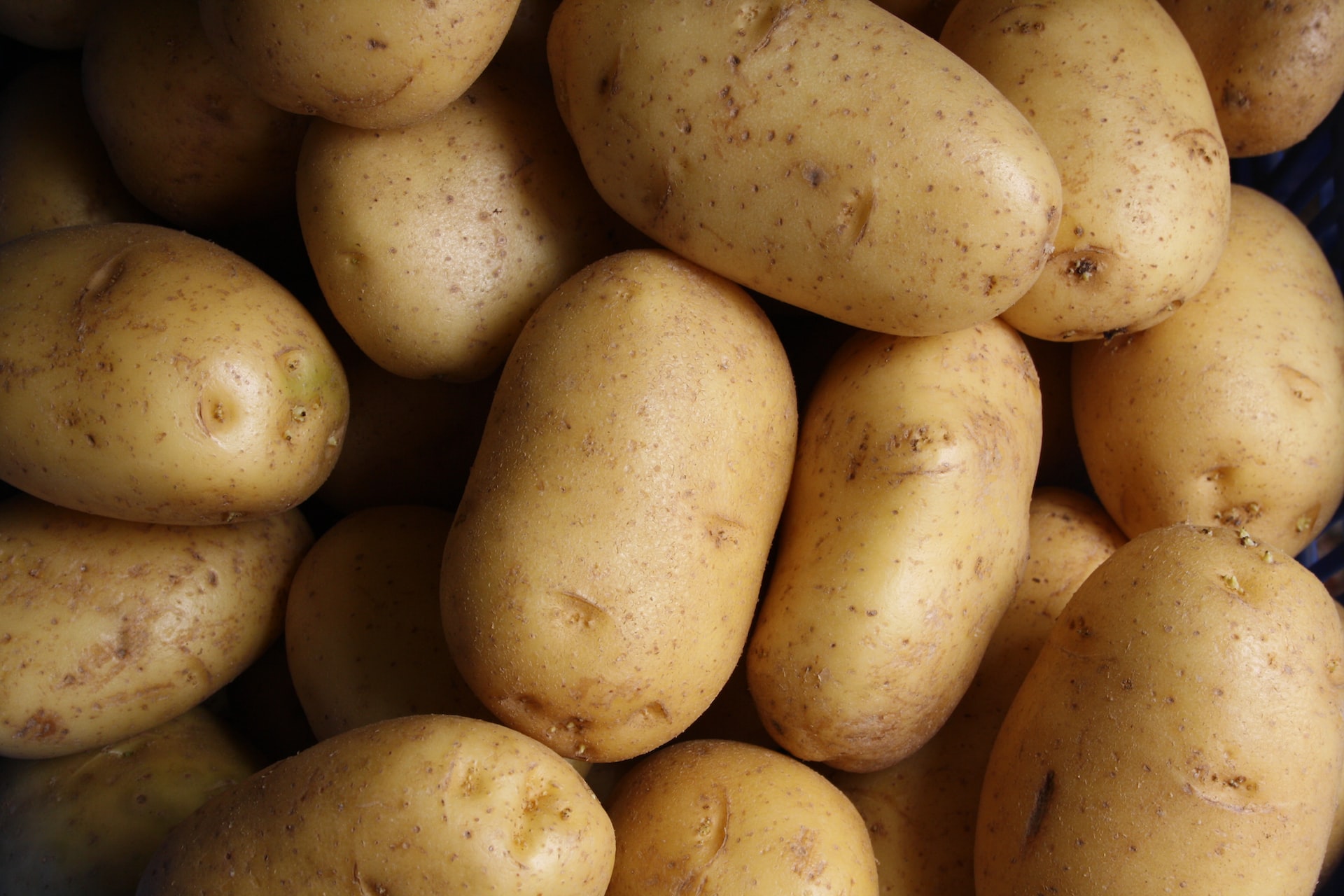 From South America to Your Plate: The Fascinating Story of the Potato