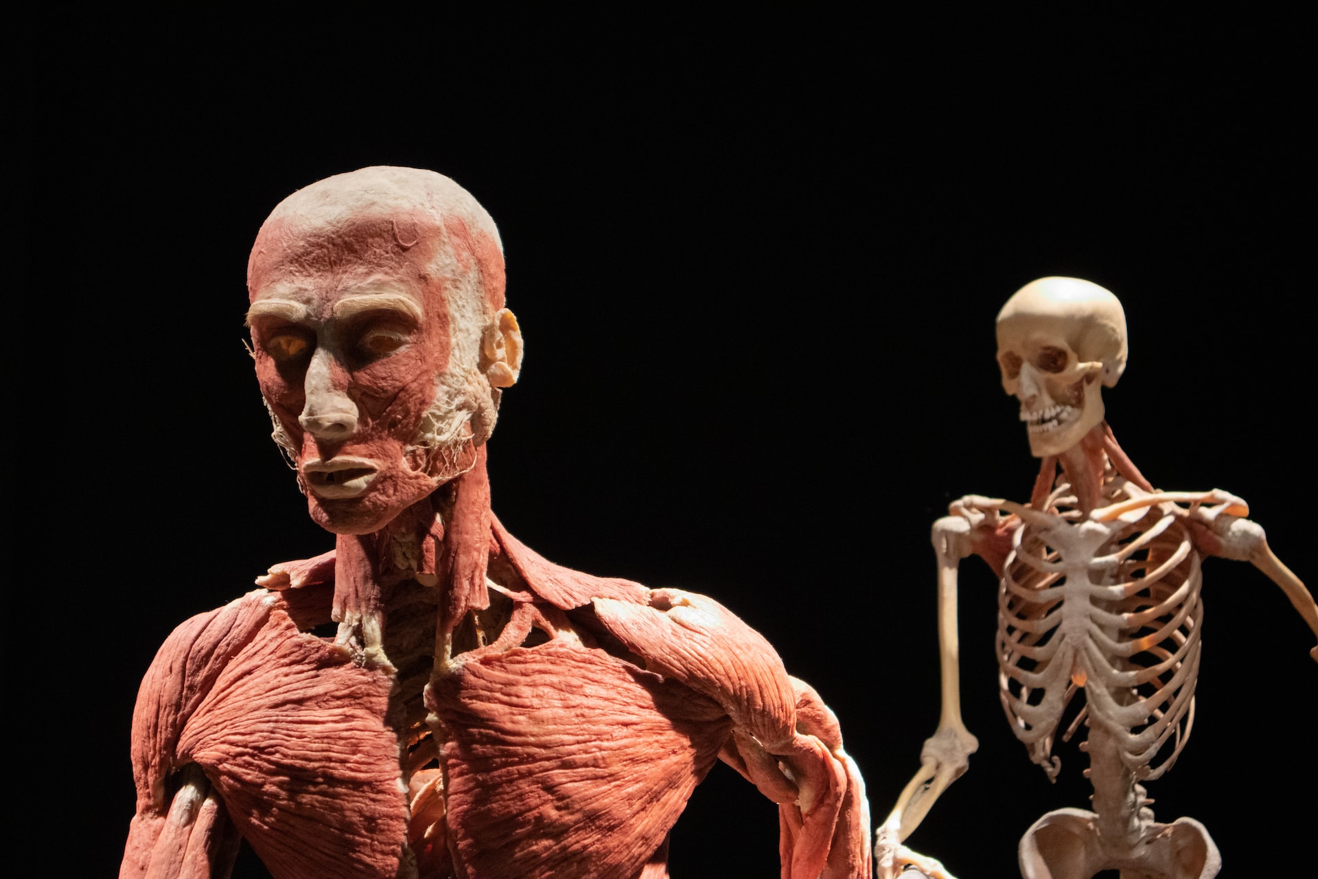 The Strange and Surprising Facts About the Human Body: Discover the Bizarre and Amazing Things Your Body Can Do