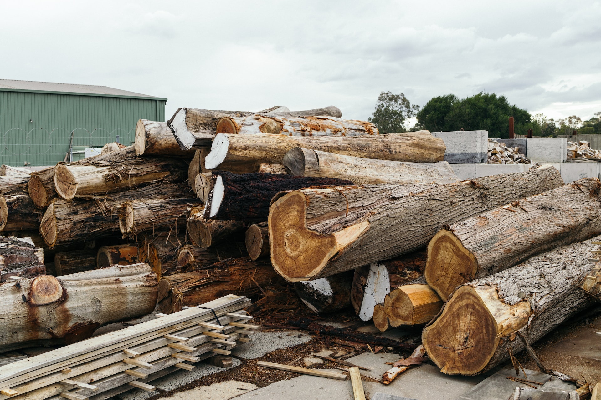 Sustainable Wood Management: How to Ensure That Wood is Harvested Responsibly and Replanted