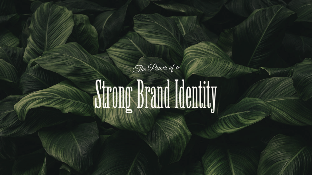 The Power of a Strong Brand Identity: Building Trust and Loyalty