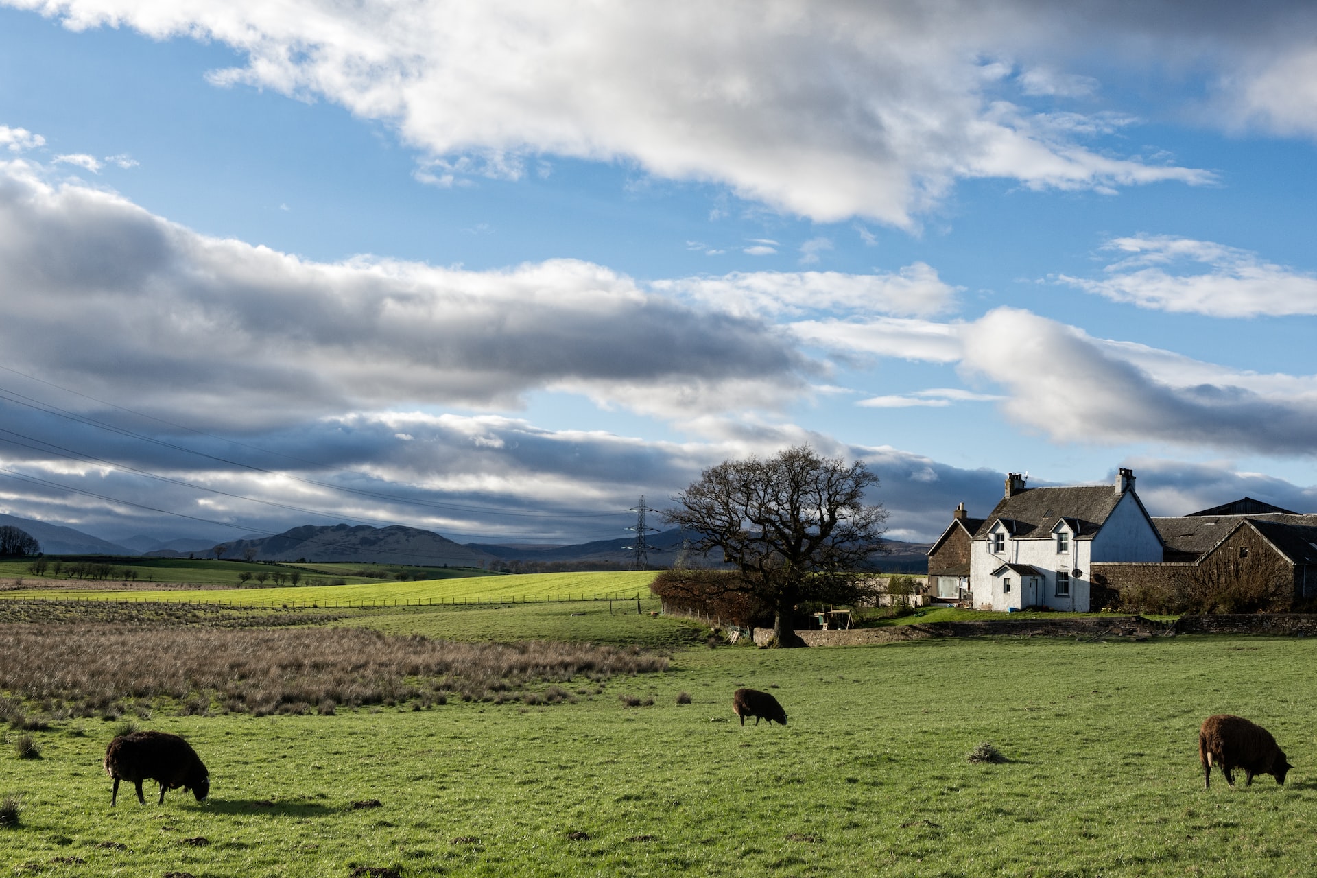 The Rise of the Countryside Entrepreneur: How to Start a Successful Business in a Rural Area