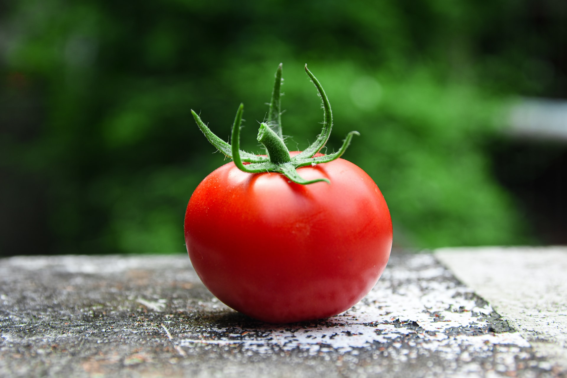 The Versatile and Nutritious Tomato: From Fresh Slices to Sauces
