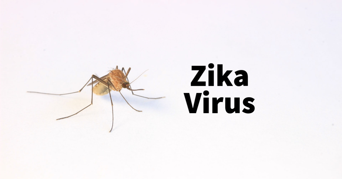 The Zika Virus: How It Spread and the Health Risks It Poses