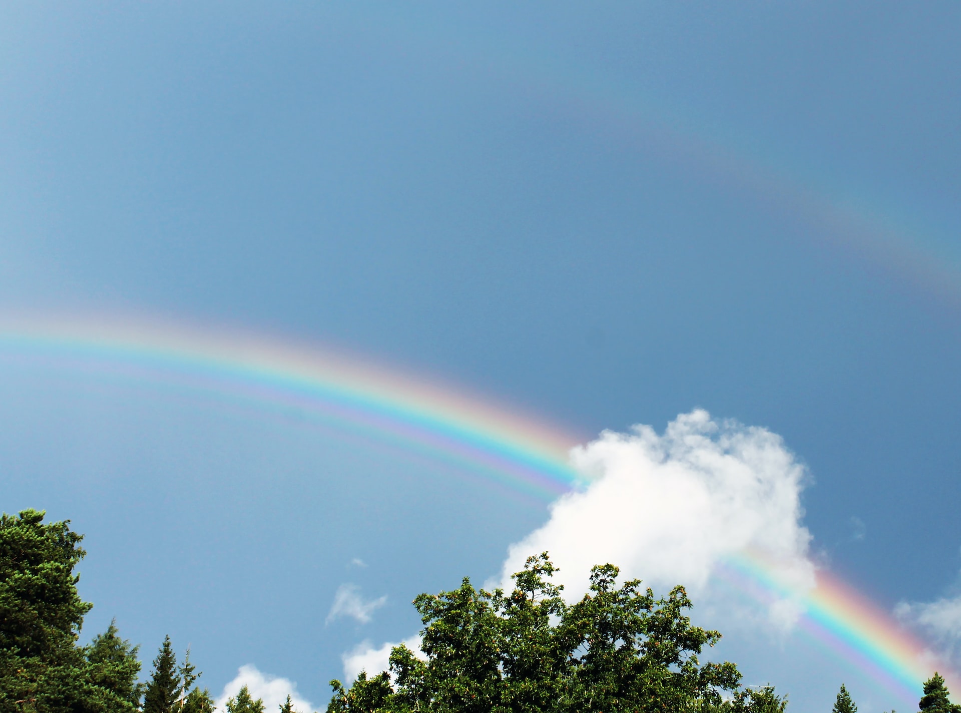 Unveiling the Beauty of Classic Rainbow: 7 Fascinating Facts You Never Knew