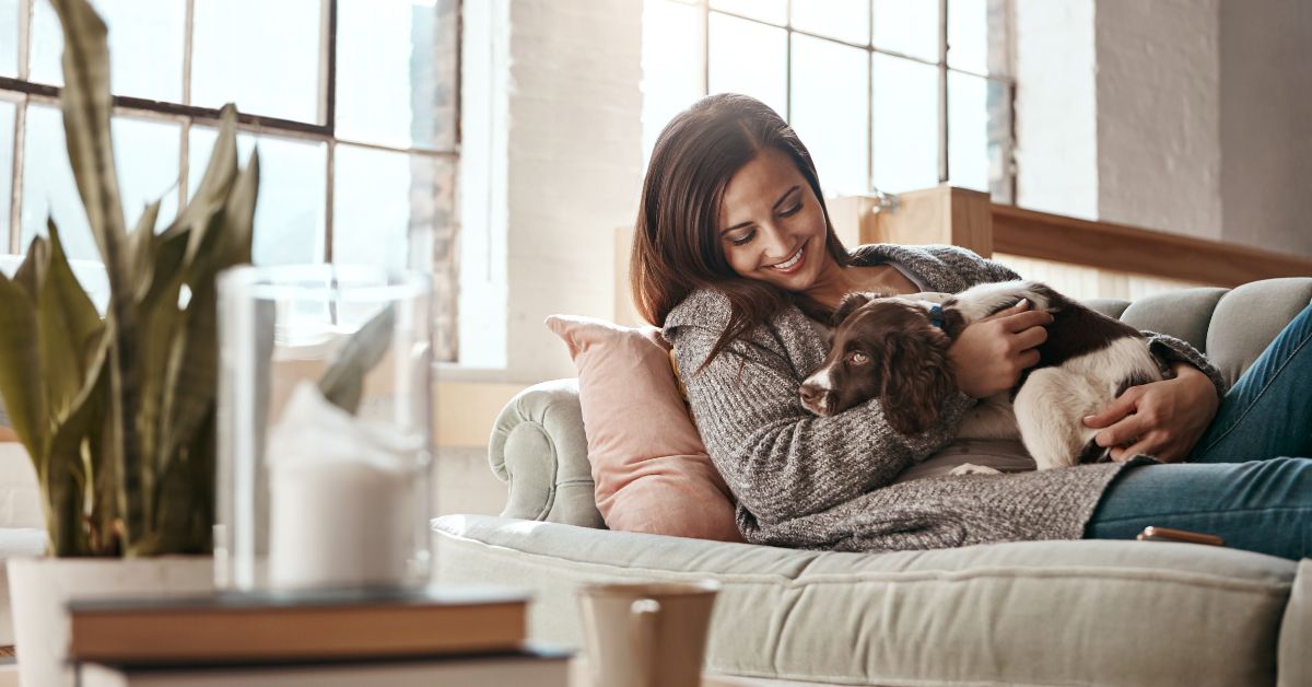 Tips for Making Your Dog More Comfortable in an Apartment