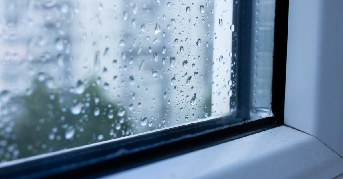 Tips for Better Protecting Your Home From the Rain